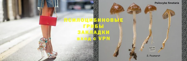 крисы Баксан
