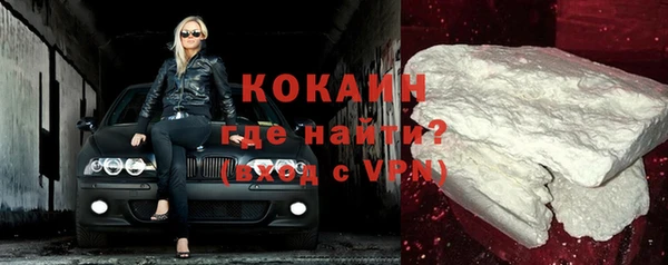крисы Баксан